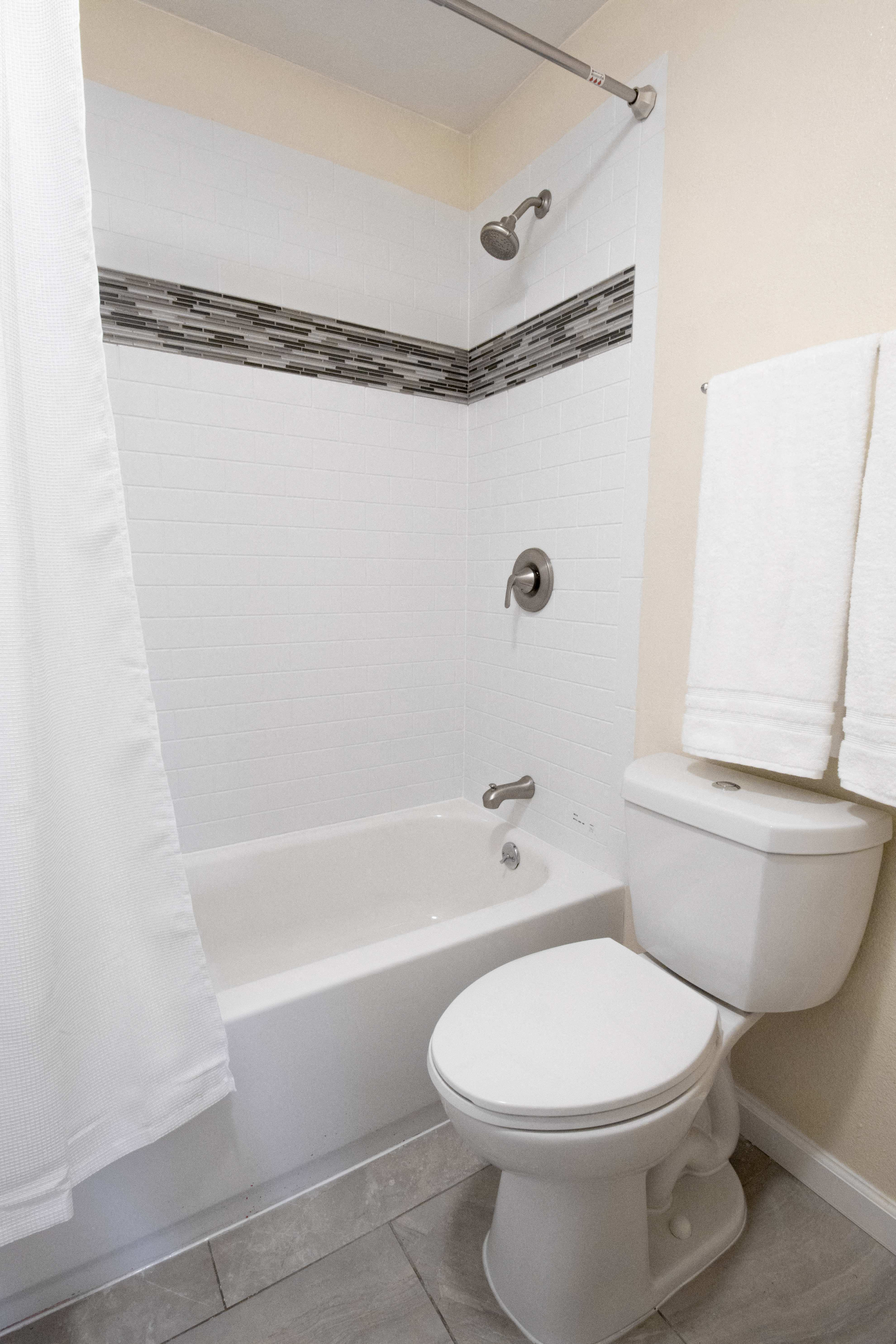 a bathroom with a toilet and a bath tub