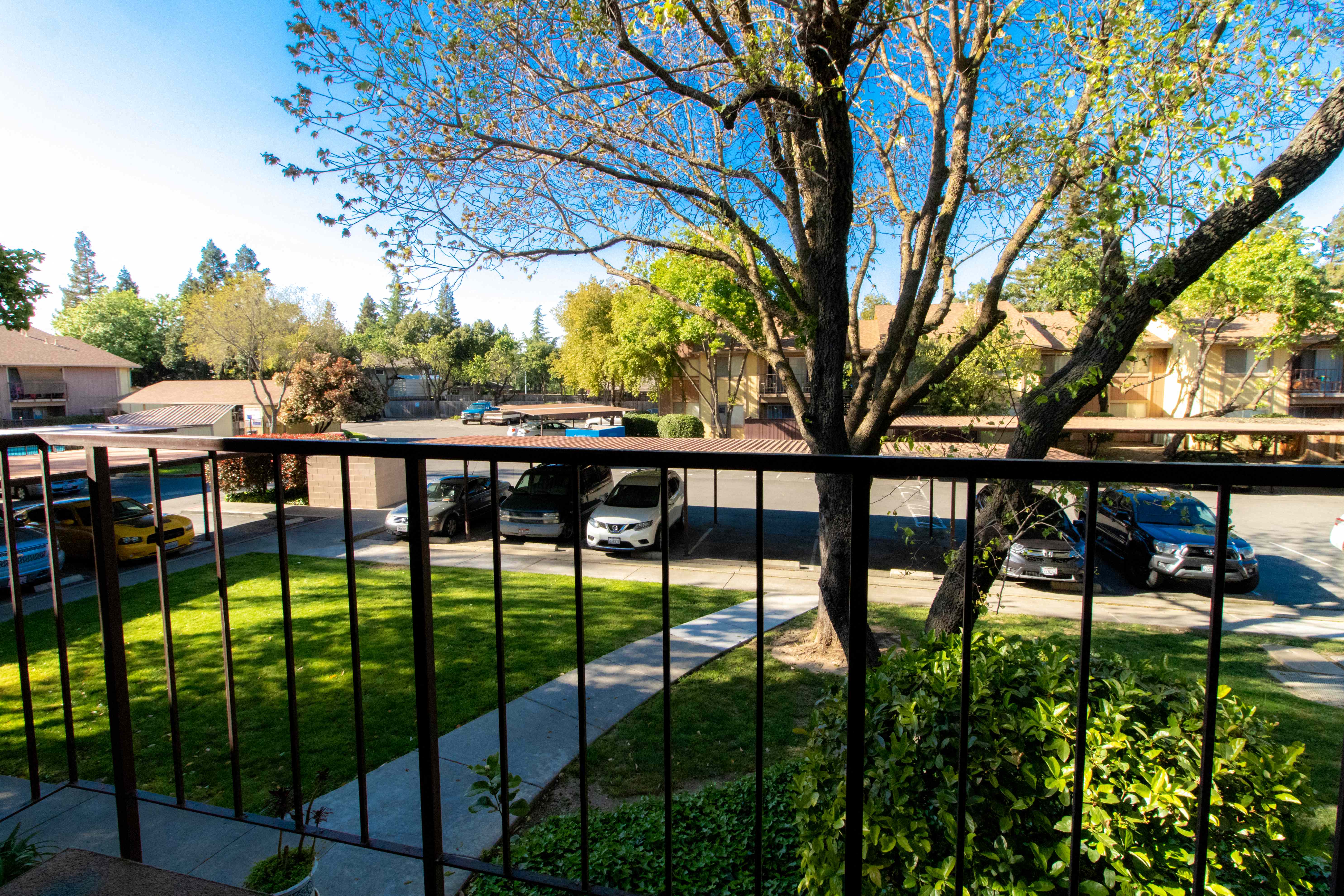 a balcony with a view of a parking lot and a tree