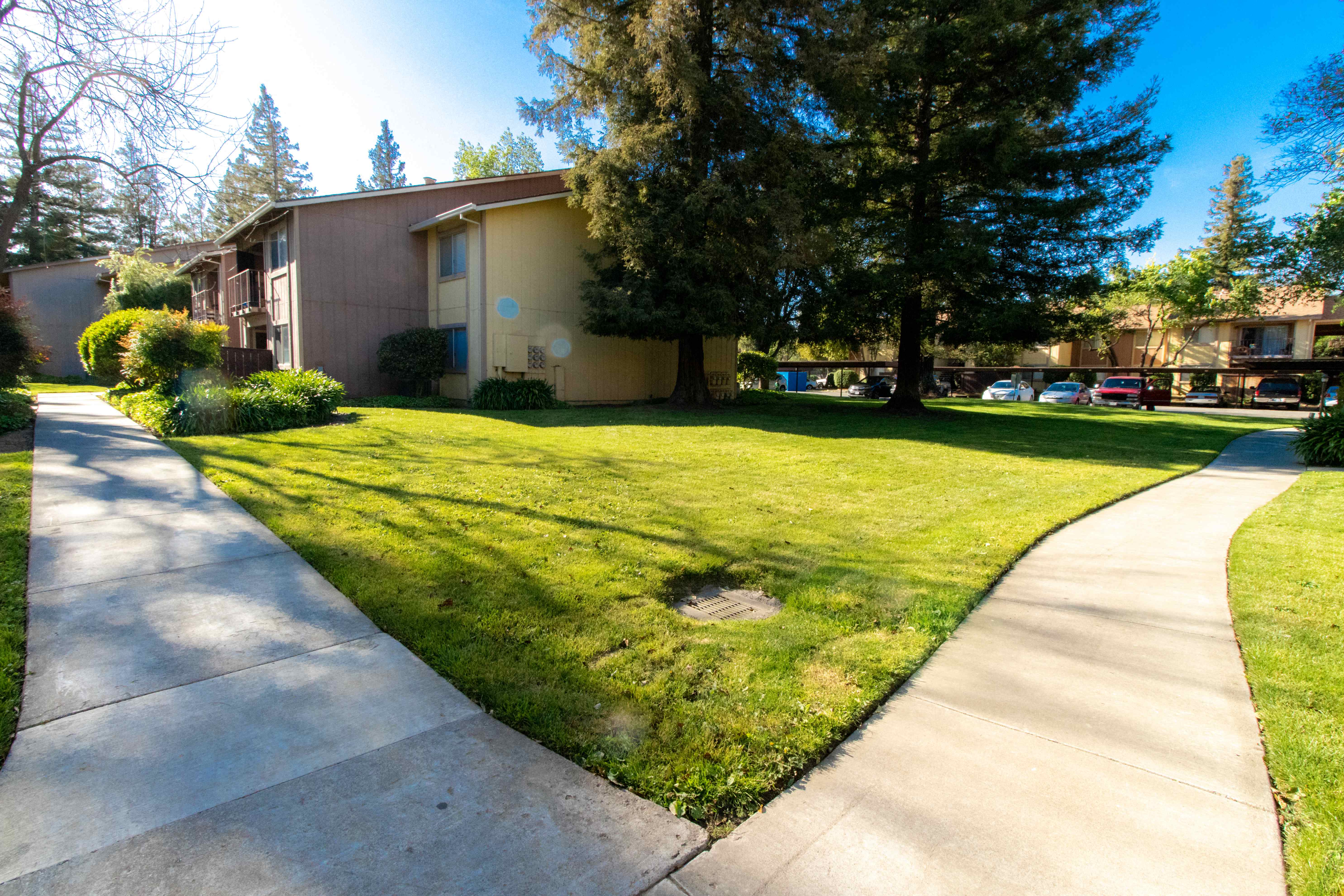 a sidewalk in front of a house with a lawn