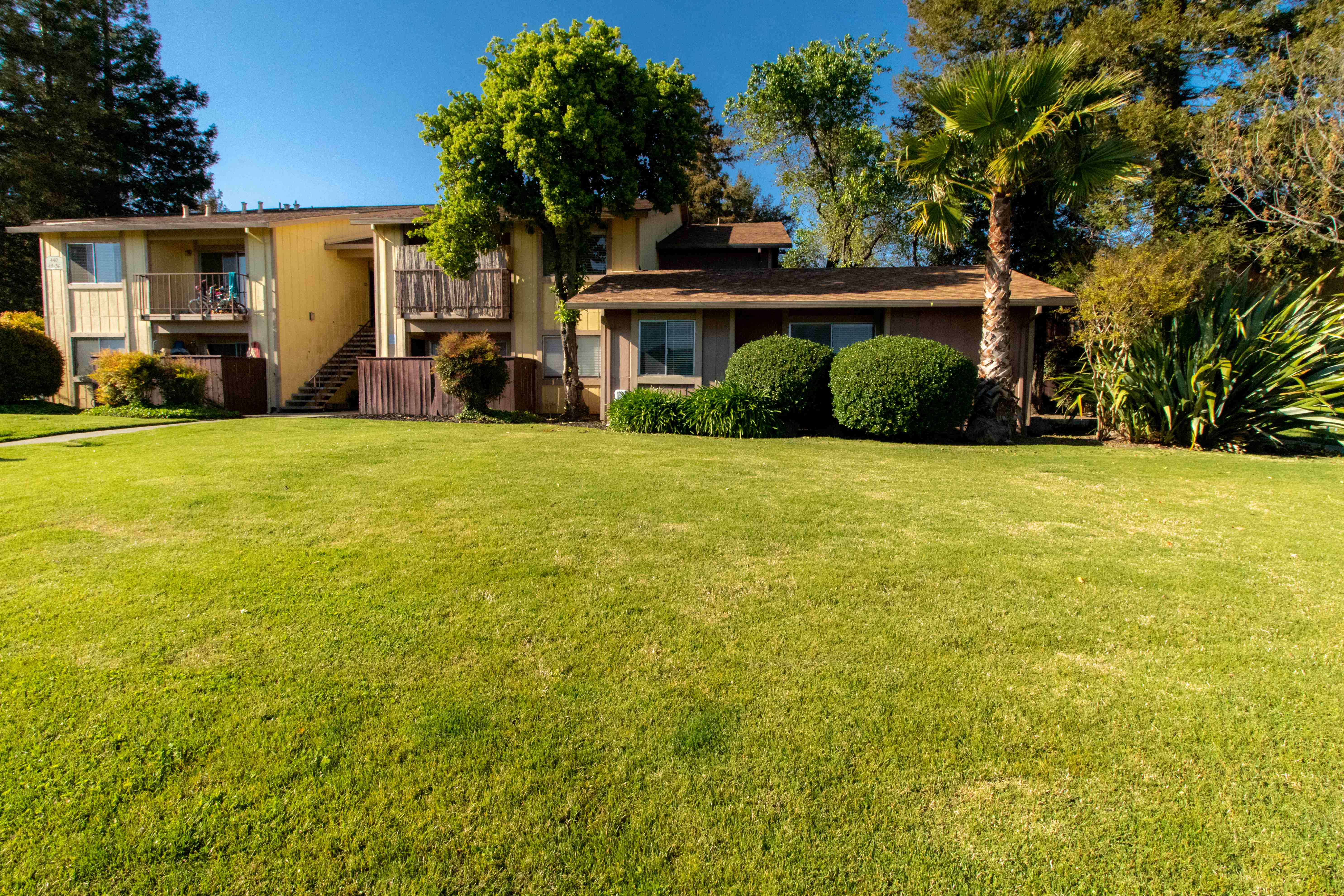 a large lawn in front of a house