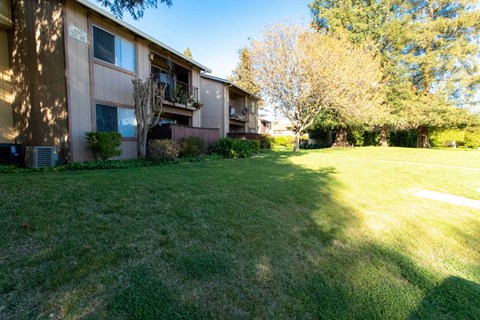 A grassy area in front of a building with a tree to the right.