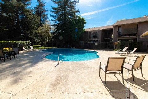 A pool surrounded by chairs and trees.