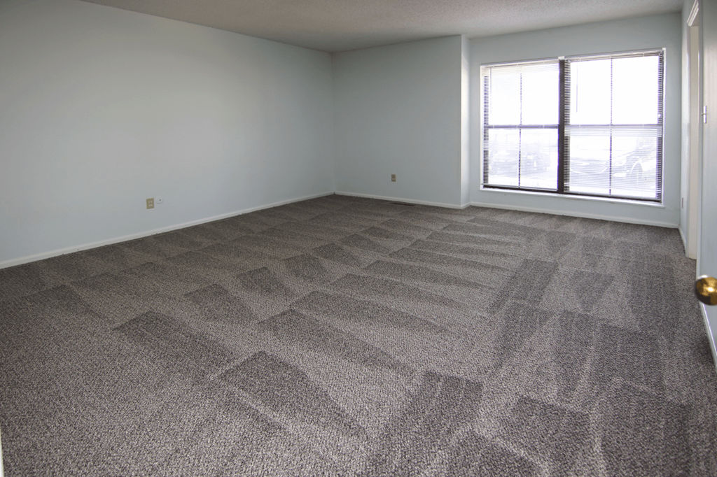 A room with a carpeted floor and a window letting in light.