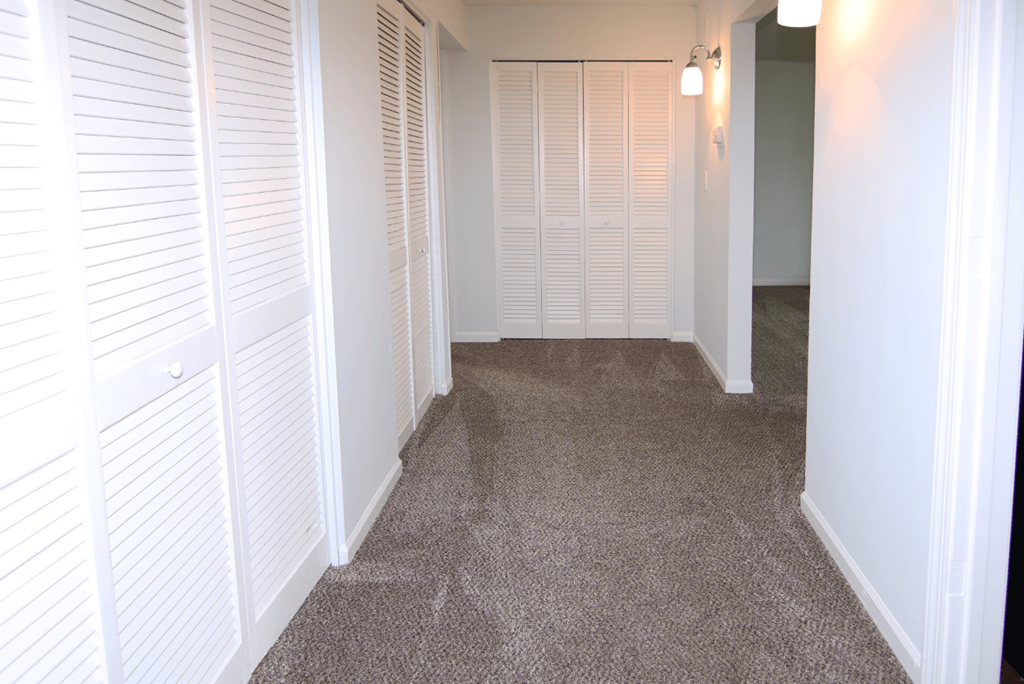 A hallway with white shutters on the left and a carpeted floor.