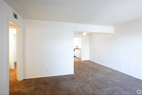 A large, empty room with carpeted flooring and white walls.