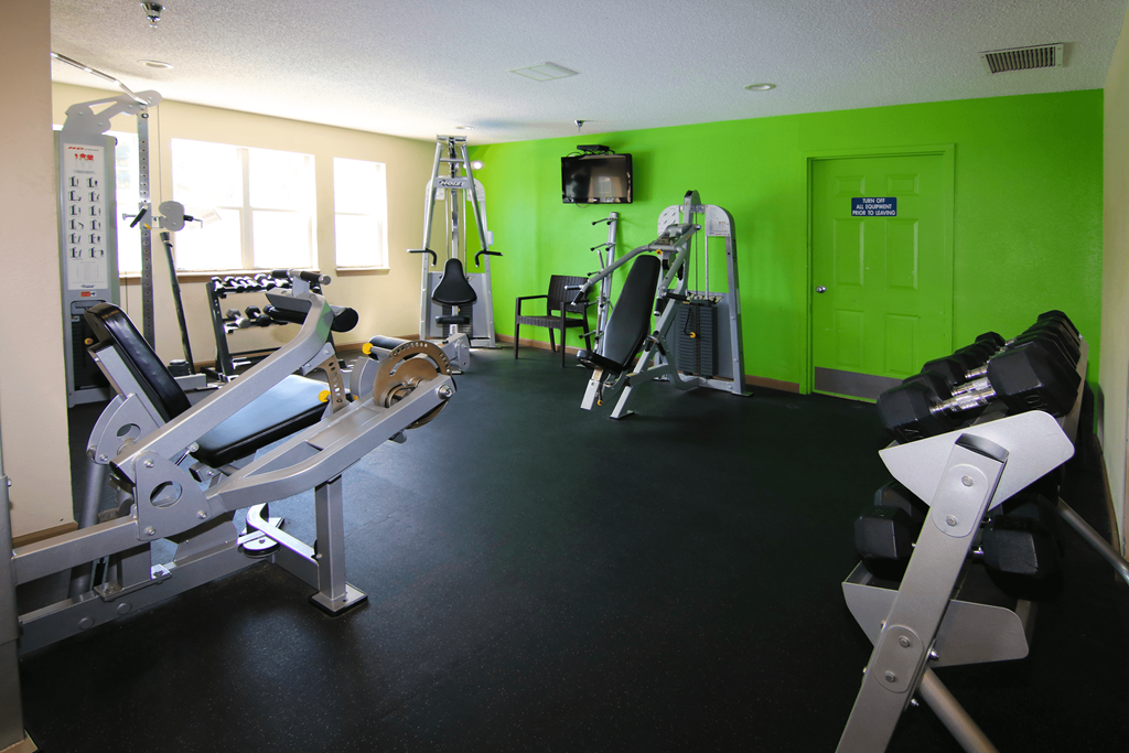 A gym with a green wall and a row of exercise machines.