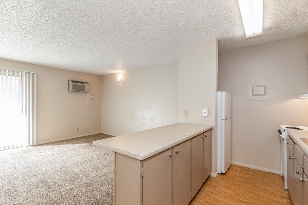 Studio Kitchen and Living Space at Raintree Apartments, Kansas, 66614