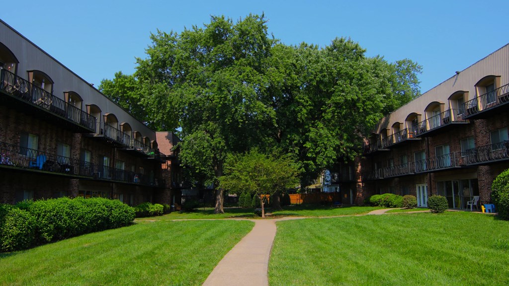 a building with a tree in the middle of a grass field