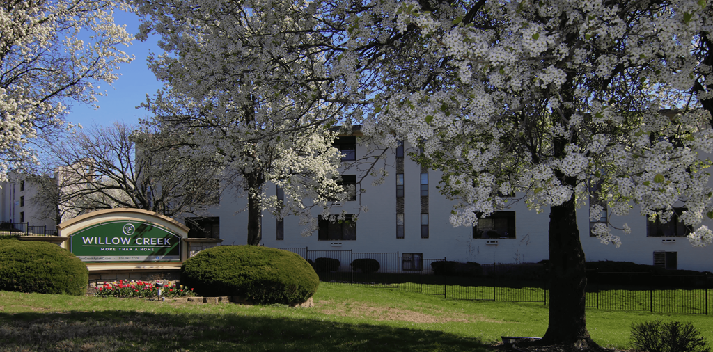 Willow Creek monument sign with spring tree