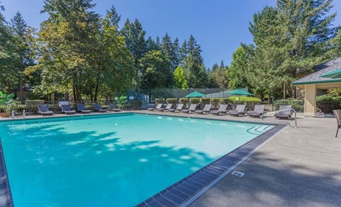 a swimming pool with chairs around it and trees in the background