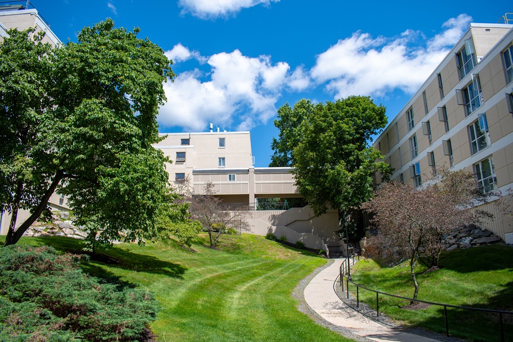 a path leads between two buildings on a sunny day