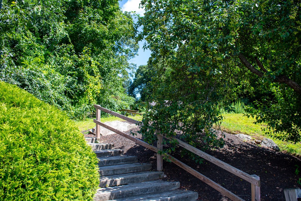 steps leading up a hill in a park