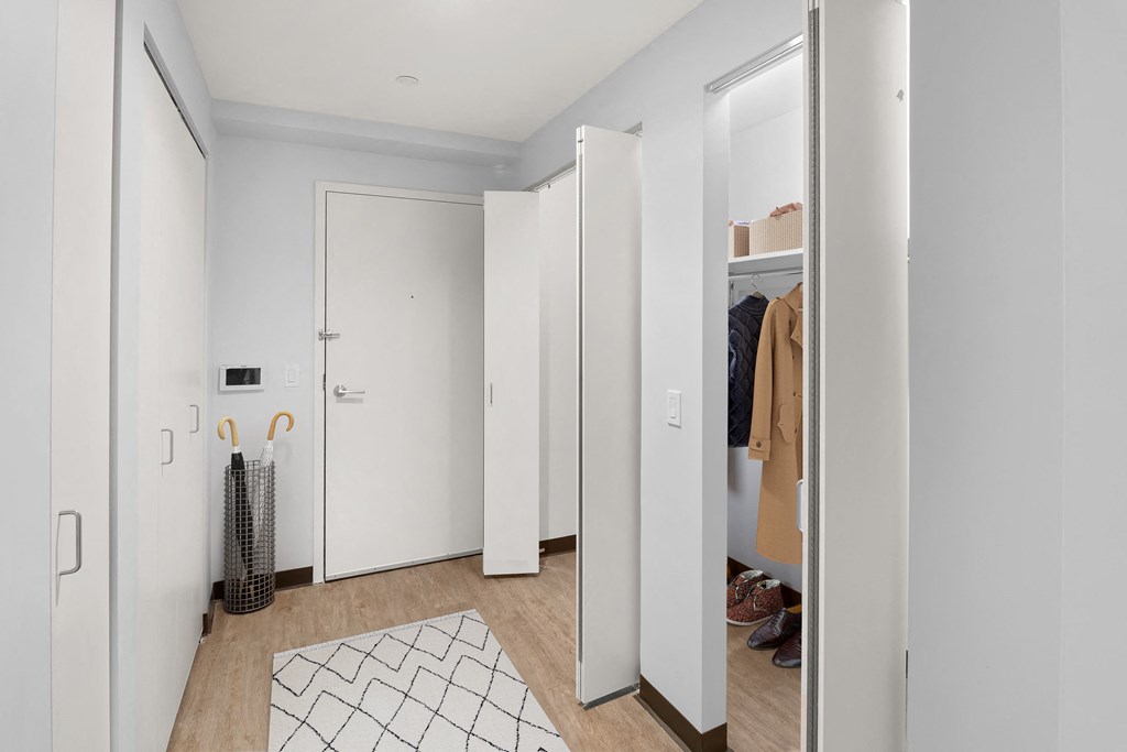 a bedroom with a closet and a rug