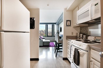 860 Harrison Avenue Studio-1 Bed Apartment for Rent - Photo Gallery 14