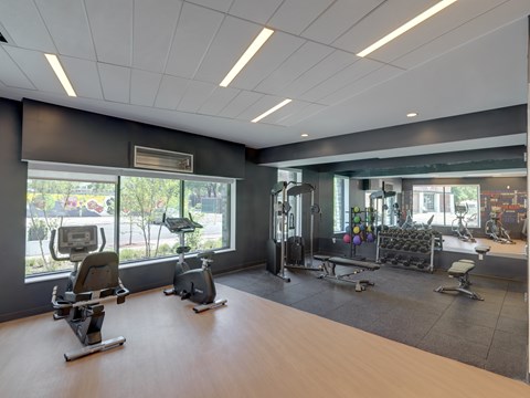 A gym with a variety of equipment including treadmills, stationary bikes, and weight machines.