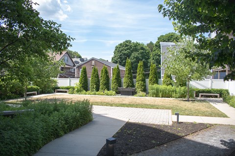 A park with a bench and a pathway.