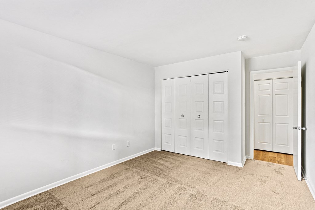 bedroom with closet and carpeted floor