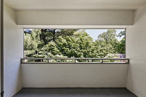 balcony view