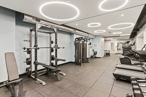 A well-equipped gym with various fitness machines and weights.