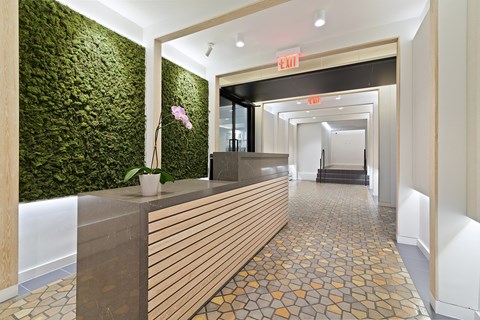 A hallway with a green wall on the left and a wooden reception desk on the right.