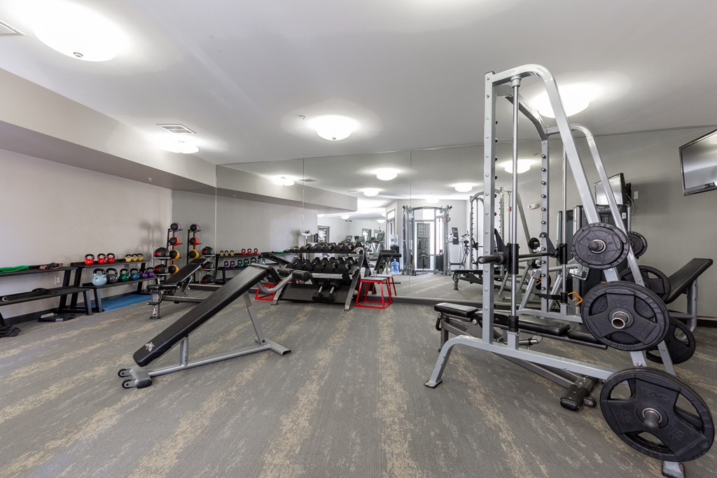 a gym with weights and cardio equipment on the floor and a mirrored wall