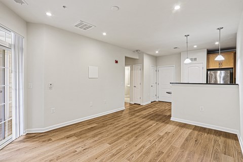 living room and kitchen