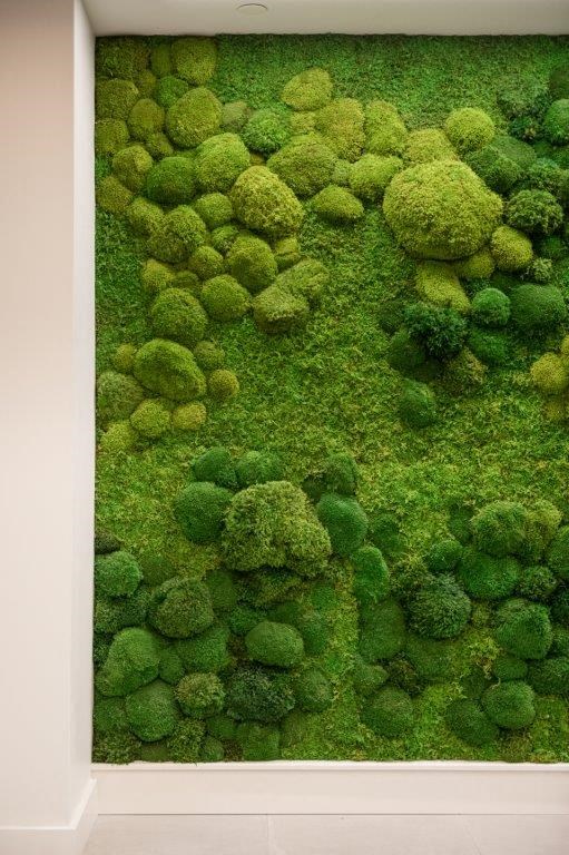a wall of moss covered broccoli in a room