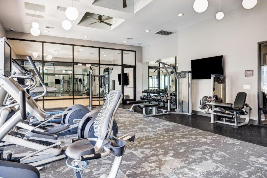 the gym is equipped with cardio equipment and weights