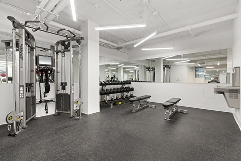 A gym with a variety of equipment including weights and a bench.