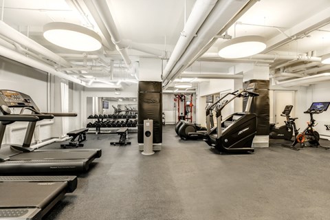 A spacious gym with treadmills, elliptical machines, and other exercise equipment.