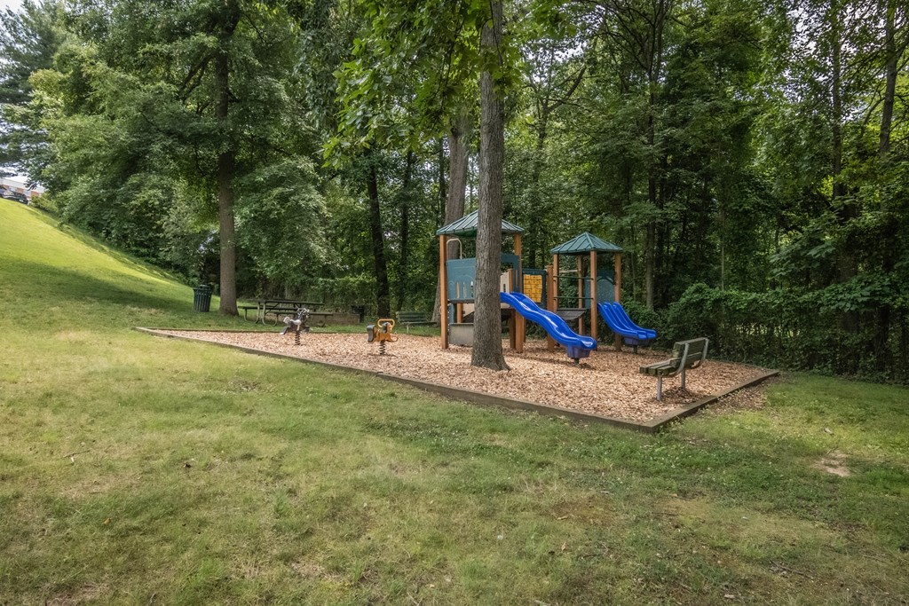 a playground with two slides and a dog in a park