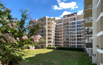 2525 10Th Street Studio Apartment for Rent