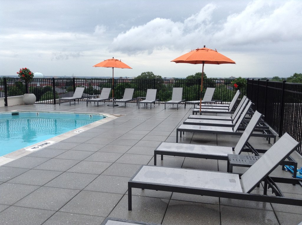 Barton House rooftop pool with chairs and umbrellas
