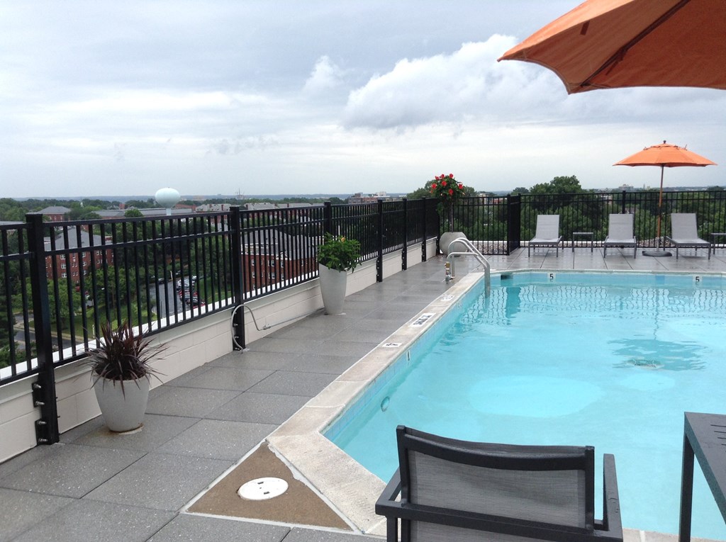 Barton House rooftop pool with chairs and umbrellas