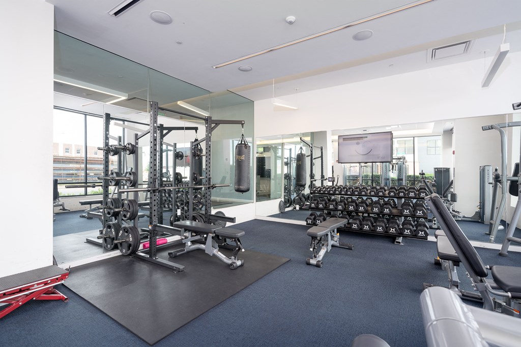 a gym with weights and cardio machines and a tv