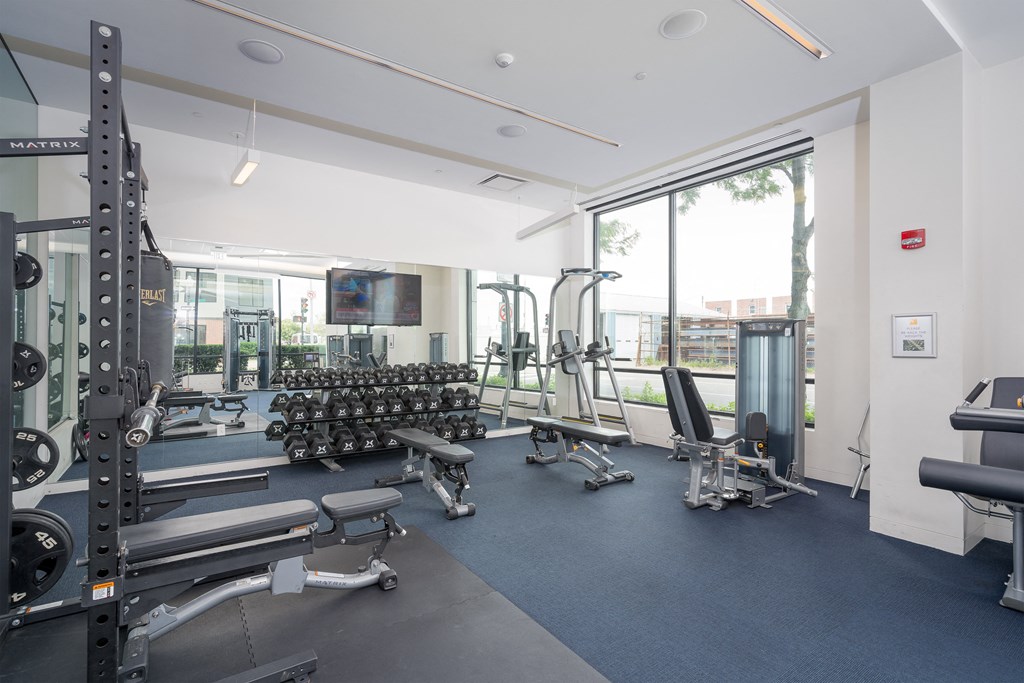 a gym with weights and other exercise equipment and a window