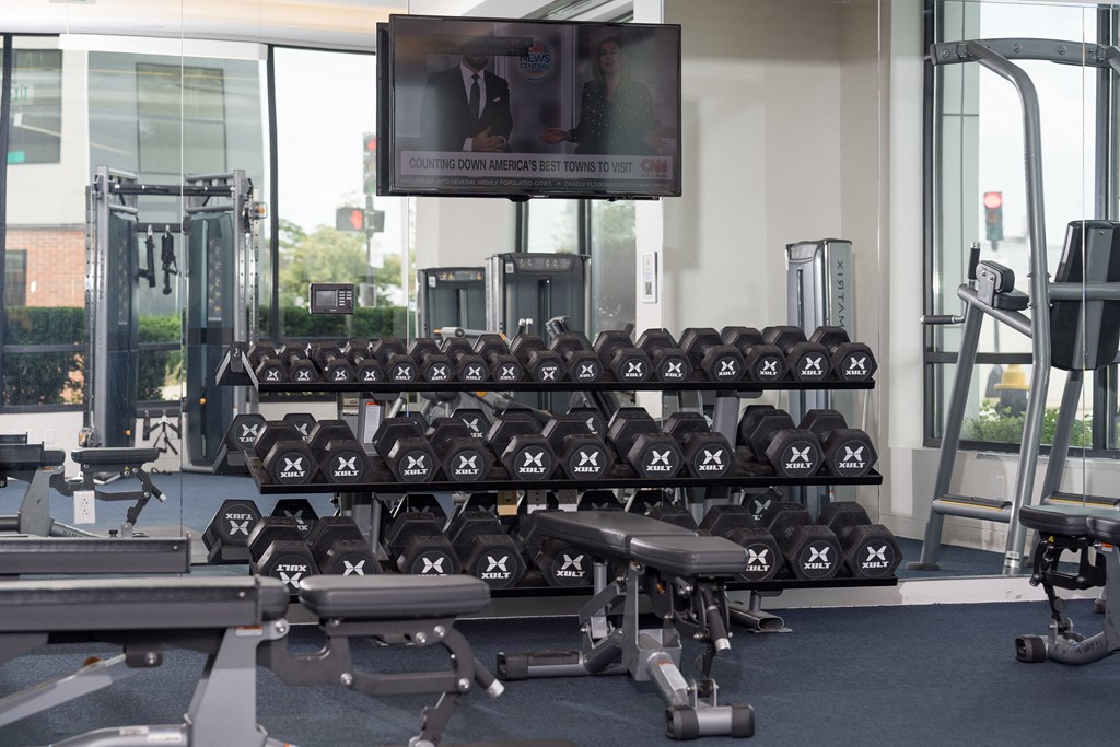 a row of weights in a gym with a television in the background