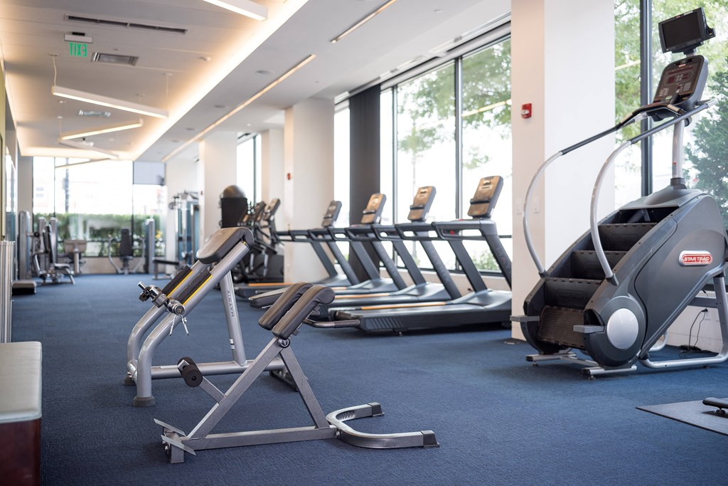 a row of cardio machines in a gym