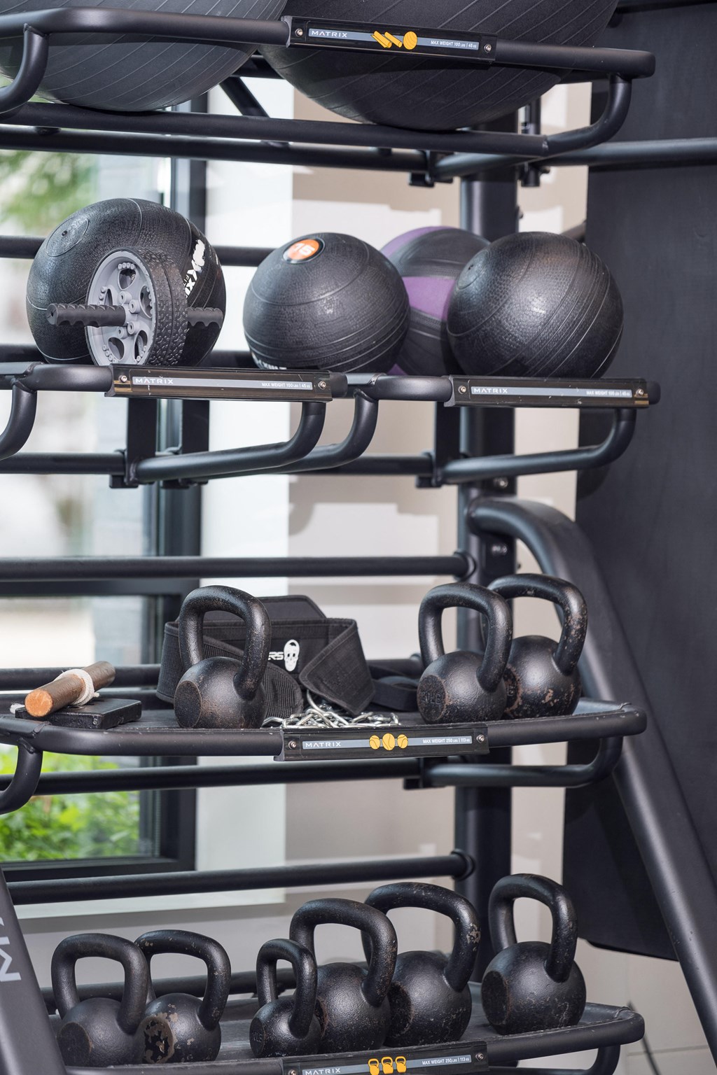 a rack with weights and dumbbells in a gym