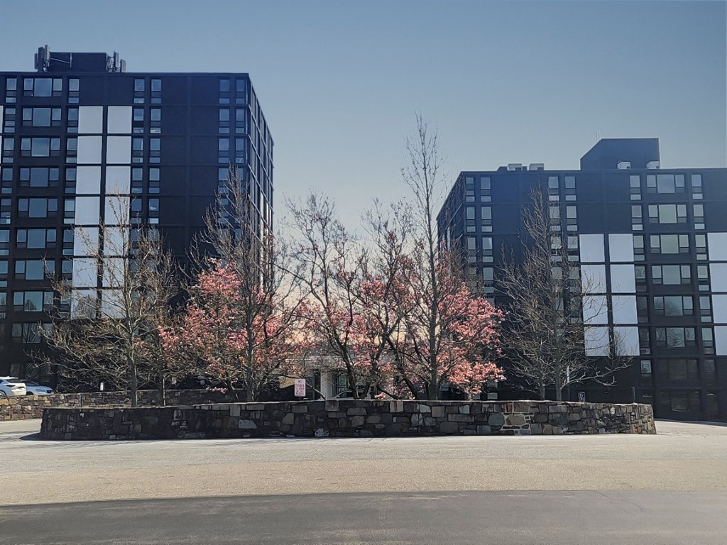 a city made by people seattle public library