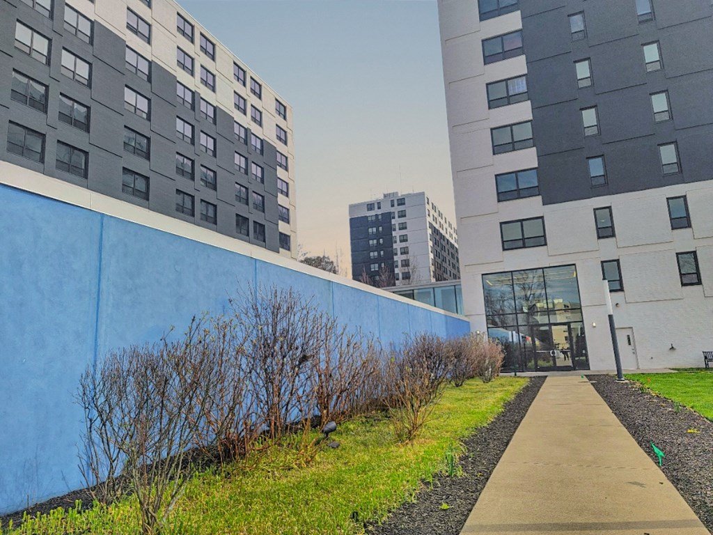 a blue wall separates two buildings
