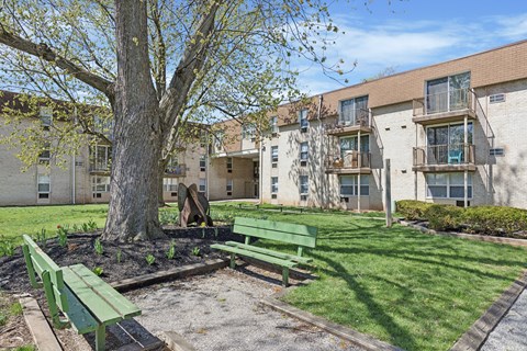 A tree in a grassy area with a bench and apartment buildings in the background.