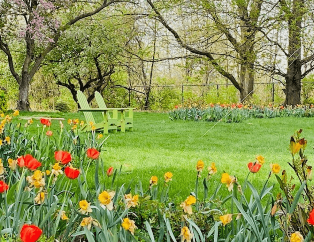 a green bench sitting in the middle of a lush green field
