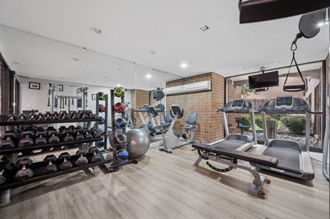 A gym with a variety of equipment including dumbbells, weight plates, and a bench press.