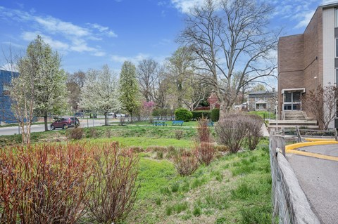 A view of a green space with trees and a building in the background.
