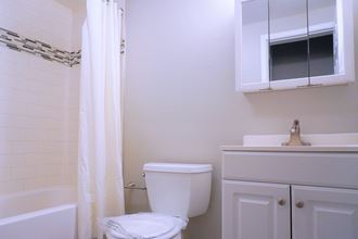 Modern white bathroom with a bathtub