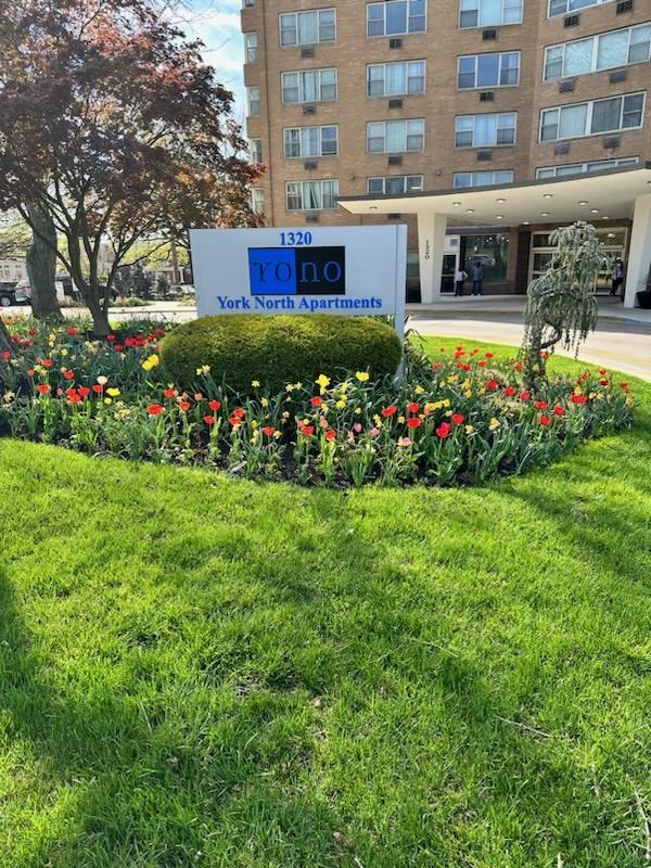 a garden of flowers in front of a building