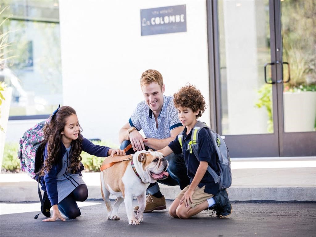 Interior of family and dog playing