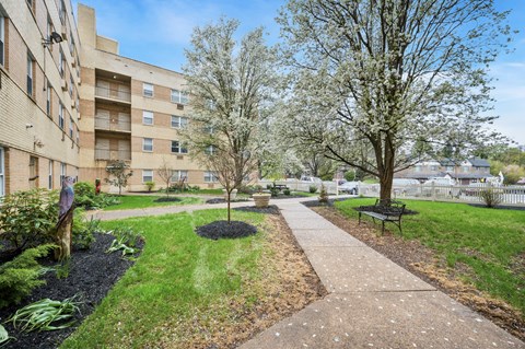 A concrete walkway leads through a grassy area with two trees and a bench.