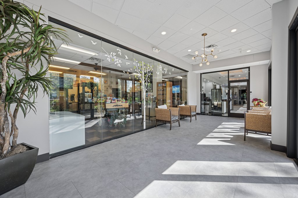 A modern office lobby with a glass wall and a potted plant.